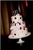 Anna Cakes, Orlando