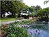 Grand Lawn, Houmas House Plantation And Gardens, Darrow