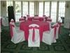 Covers By Nicole, LLC, Charleston — White w/ Fushia After