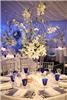 Events Vermont, Burlington
