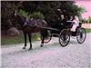 Timber Creek Bed & Breakfast, Paxton