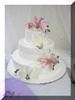 Cakes By Lisa, Ocala