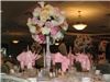 Weddings By Yelena, Tampa — Affordable Linen Rental. Cahir Covers Starting at 2.00 each. This includes teardown and setup. visit us at weddingsbyyelena.com