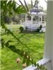 Gazebo, Hodgin Valley Farm, Pleasant Garden