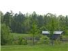 Hodgin Valley Farm, Pleasant Garden