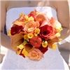 Fiori Bella Designs, Freehold