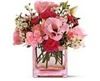 Flamingo  Dreams Florist, Tampa