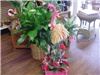 Flamingo  Dreams Florist, Tampa