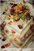 Sweet Tooth