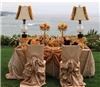The Beauty Of Hawa Garden, Gaithersburg — Chair cover, sash, table cloth, runners, overlays, napkins high style centerpieces, money mailbox, fountain, wedding arch, wishing well & more.