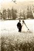 Greg Noyes Photography, Citrus Heights