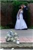 Cool Media Productions - Videography - Toledo, Toledo