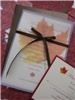 hullabaloo studios, Lisbon — Dark chocolate and ivory invitation adorned with fall leaf printed on a frosted velllum and finished with a thin chocolate satin ribbon. © hullabaloo studios