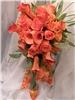 Alice's Floral Fantasies, Arlington