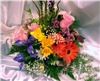 Alice's Floral Fantasies, Arlington