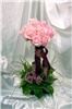 Alice's Floral Fantasies, Arlington