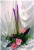 Alice's Floral Fantasies, Arlington