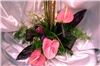 Alice's Floral Fantasies, Arlington