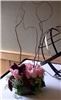 Alice's Floral Fantasies, Arlington