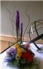 Alice's Floral Fantasies, Arlington