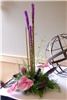 Alice's Floral Fantasies, Arlington
