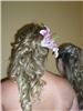 Click to see Profile