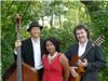 Nikolai Svishev Guitarist, Charleston — Trio with wonderful vocalist.