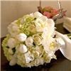 Septemb floral  fine ar s & pher Studiosotography, Snellville
