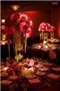 E NY Events, Inc., Queens Village