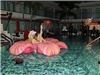Peacock Marketing Group, LLC., Delray Beach — Peacock Marketing Groups Event for Slip N Slide Records 15 Year Anniversary @ Hotel Victor "15 Years In Paradise"