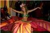 Peacock Marketing Group, LLC., Delray Beach — Peacock Marketing Groups Event for Slip N Slide Records 15 Year Anniversary @ Hotel Victor "15 Years In Paradise"