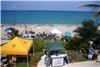 Peacock Marketing Group, LLC. - Miami, Miami Beach — Microgivings Annual Beach Party & Fishing Tournament
