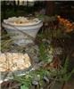In Good Taste Catering & Design, Austin