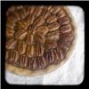 Porch Swing Desserts, Houston — 9" Southern Pecan Pie