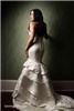 Lanning Photography, Springdale