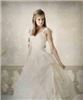 Lanning Photography, Springdale
