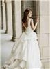 Lanning Photography, Springdale