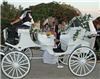 Angeli Carriages, Austin — Pure white wedding carriage with white folding top