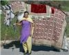 Angeli Carriages, Austin — White horse and complete Indian wedding horse costume
