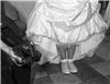 The Wedding Professionals - Wilmington, Wilmington — Maryland wedding photographers, Michael Grubb, Pete Silver,
The Wedding Professionals