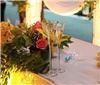 The Wedding Professionals - Wilmington, Wilmington — Maryland wedding photographers, Michael Grubb, Pete Silver,
The Wedding Professionals