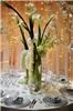 Encore Decor, Washington