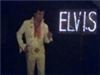 Jimmy D's "Elvis is in the building!" The Tribute, Minneapolis
