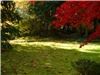 Spring Place Vacation & Culinary Oasis, Spring Place Vacation and Event Oasis, Errington — Just walk through here..and listen to the water at Englishman River
