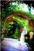Silver Charm Events, Los Angeles — Silver Charm Events: Designing The Day of Your Dreams