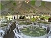Alexander tent rentals of austin, Austin