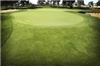 Tuscan Ridge Golf Club, Paradise