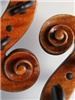 Duo d'Amore-string duos, trios and quartets, Hamilton