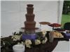 A Chocolate Affair