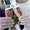 Exquisite Events Incorporated, Corpus Christi